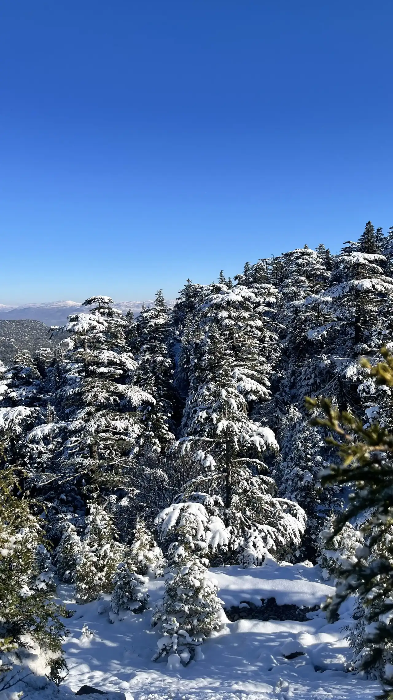 Antalya’da Kar Sonrası Kartpostallık Manzara 1